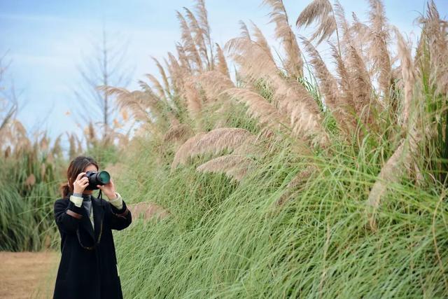 一定要去一趟！金堂这里的美，藏不住了！