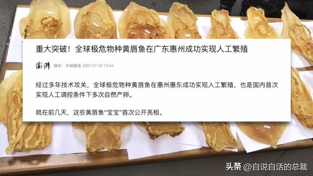 花胶能熬没了吗 2026年花胶能熬没了吗图片