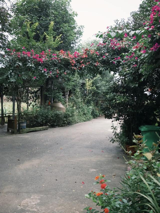 在成都西北郊区，这个渐渐淡出视野的最美乡村，还值得一去吗？