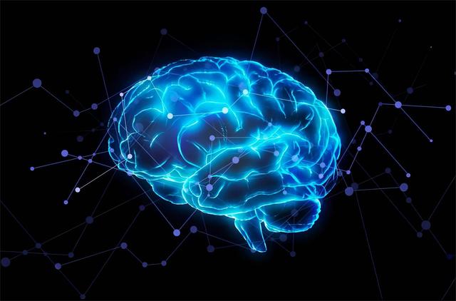 神经学重大发现！大脑远比解剖结构复杂，自闭症、老年痴呆将治愈