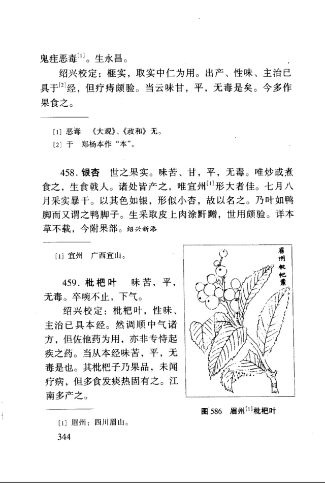 花木春秋322：银杏 | 植物界的活化石