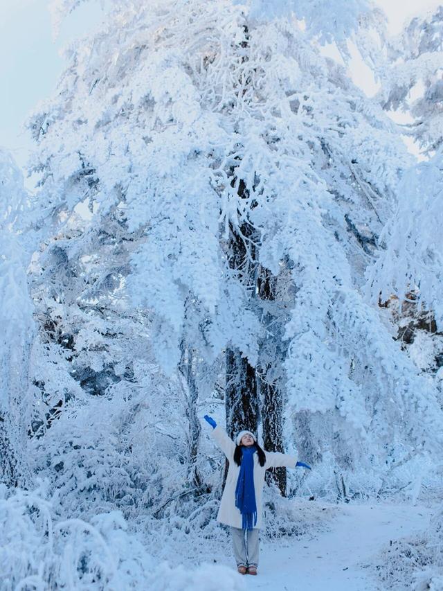 下雪了？！川西隐藏冰雪秘境上线！！！快来看雪→