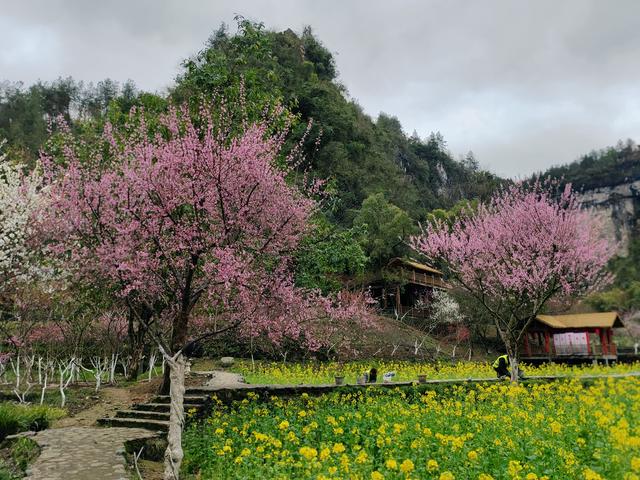 重庆酉阳桃花源，必须点赞！