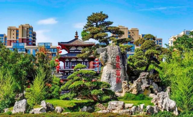 崇州银发康养游线路来啦~带上爸妈解锁！