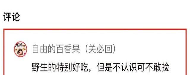 家乡的味道，舌尖记得、心也记得｜ 条友这一周