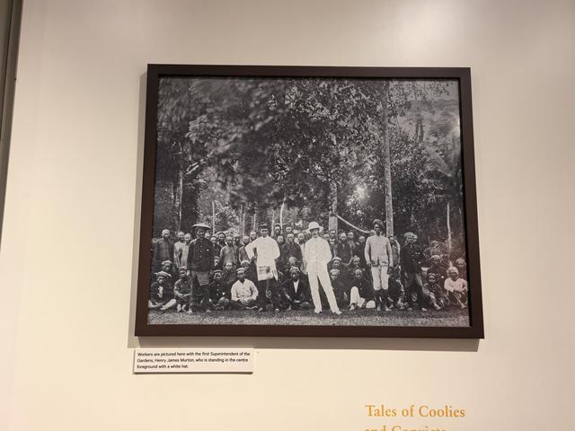 新加坡：“亲自然城市”，并非简单的“花园城市”