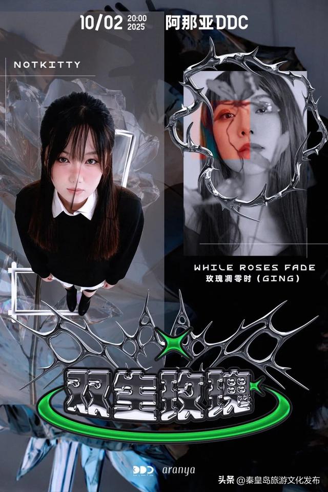 阿那亚十一海边游玩指南｜舞蹈节、雀跃镇大师赛、狗狗聚会、艺术展览，邂逅理想假日