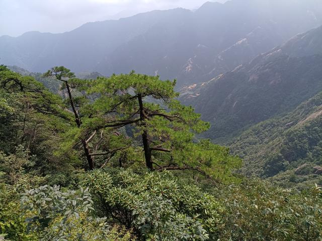 黄山一日游：在奇景与人心间丈量性价比