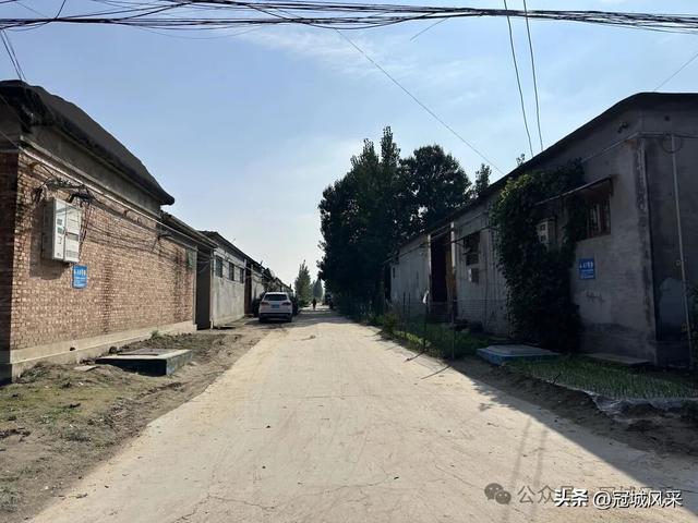 冠县乡韵·兰沃乡大柳邵村