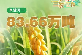 时政画报丨六个“关键词”！看今年龙岩“三农”工作这么干→图片