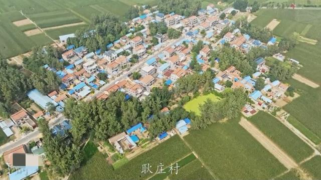 魅力曹县楼庄镇