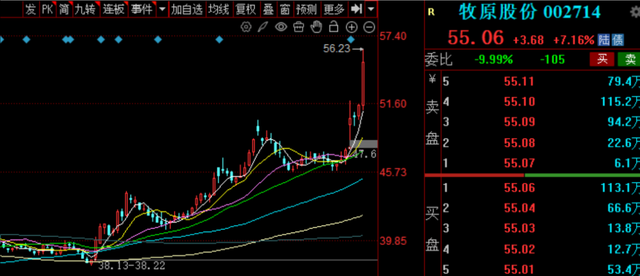 人工智能+，史诗级利好！炸裂，寒武纪营收同比增长43倍