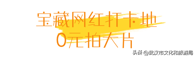 武昌花海又上新，美得很治愈！