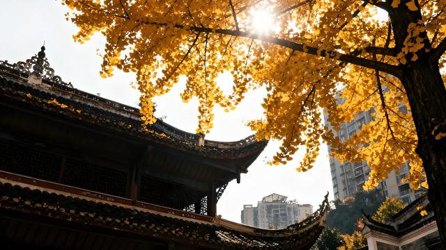 风裁云锦缀林丘，黔韵流香漫绮楼 —— 贵阳清秋揽胜记