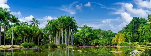 避寒选云南，过冬不犯难，7个暖冬城市，过一个暖暖的冬天