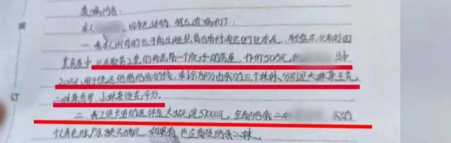 姐妹俩不知父亲出车祸意外去世 三个姑姑按遗嘱偷偷分掉遗产 律师：要先证明遗嘱有效