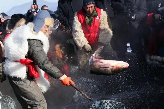 热血沸腾，畅玩一冬！双鸭山“冰雪精品一号线”邀您打卡