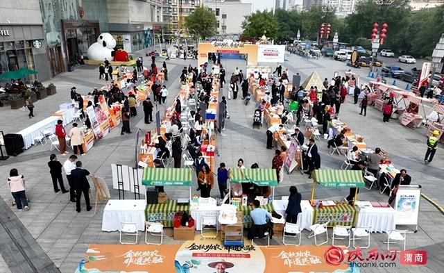 2025年10月第四周 渭南文化旅游资讯微报（组图）