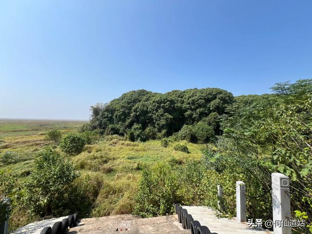 吴城“世界湿地，候鸟王国”