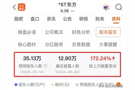 东方集团股东人数35万，退市当日又增加2万，他们进去做什么？图片