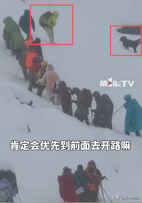 珠峰暴雪被困后续！一向导人肉开路，带百余人撤离，拒收重金酬谢