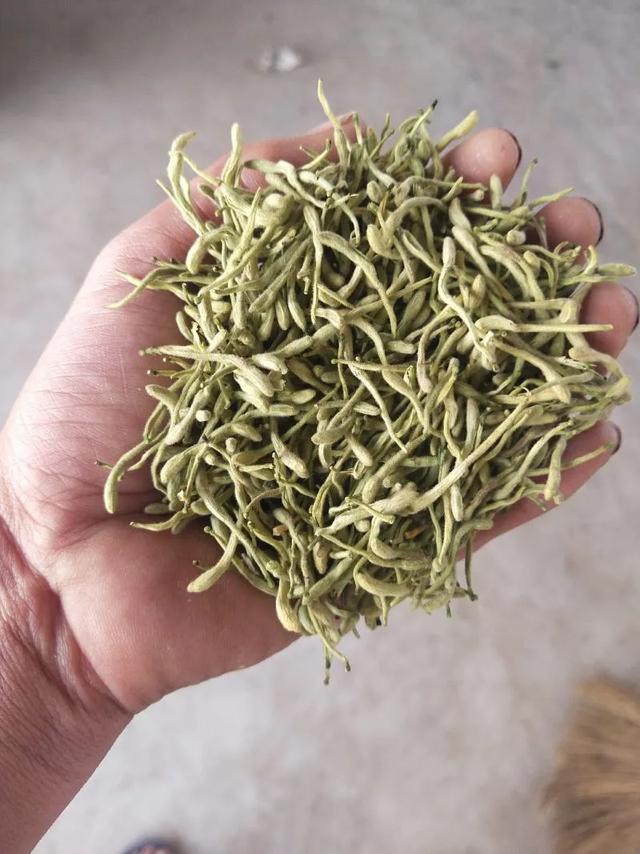 河北隐藏的宝藏小城！巨鹿县，沉淀千年的历史，喜欢小众的速来