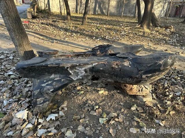 冠县乡韵·贾镇荆楼村