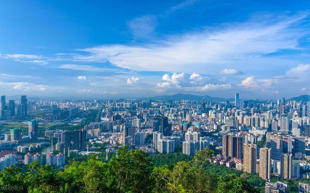 深圳最值得去的6个公园推荐！全部免费，地铁直达，好玩又好拍！