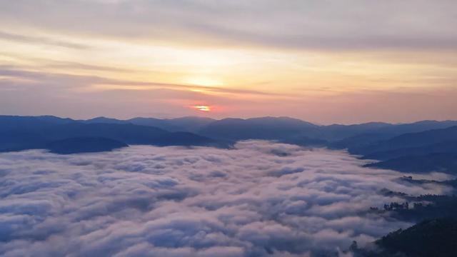 绿春县迷克茶山：云巅日出，一场温柔奔赴