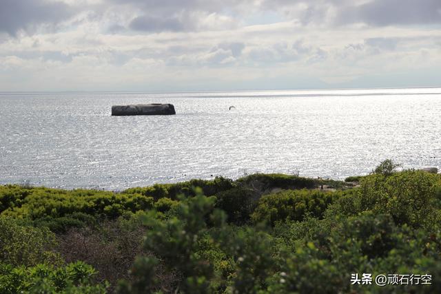 南部非洲：南非开普敦企鹅岛