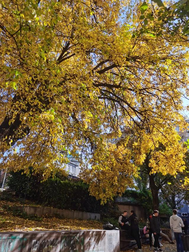 塞尔维亚，一座被轰炸过78天的城市的新生，贝尔格莱德一日游记