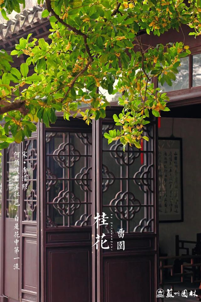 桂香满城！苏州桂花赏花地图来了！