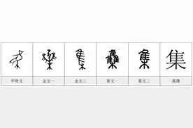 每日一字——集图片