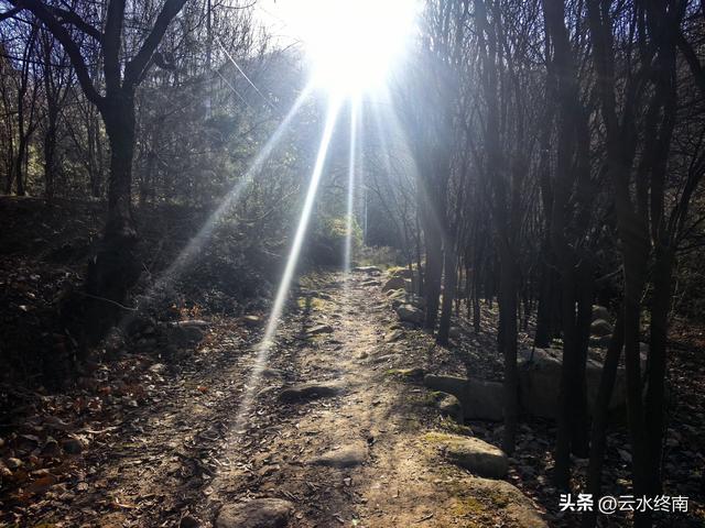 在蓝田不为人知的这个峪口，驱车深入，发现一个隐秘的“桃花源”