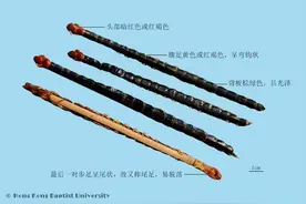 虫类中药尤擅治疑难疾病图片