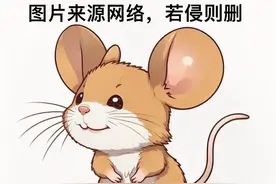 活的老鼠下酒吃！这是我们的名菜？表示怀疑～图片