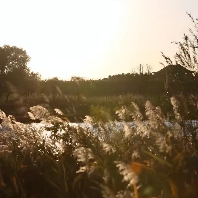 踏访英雄城，醉美嫩江湾：白城金秋红旅指南