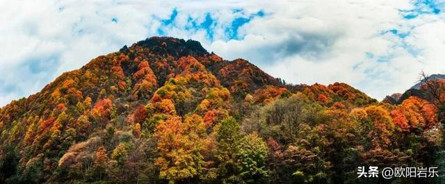 是什么让资深驴友每年秋天都偷偷跑去川西？？