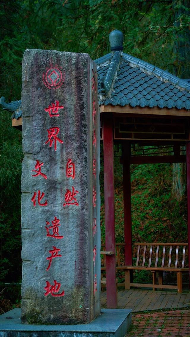 入境首选~240小时免签玩转武夷山 | Hello，World！武夷山欢迎你