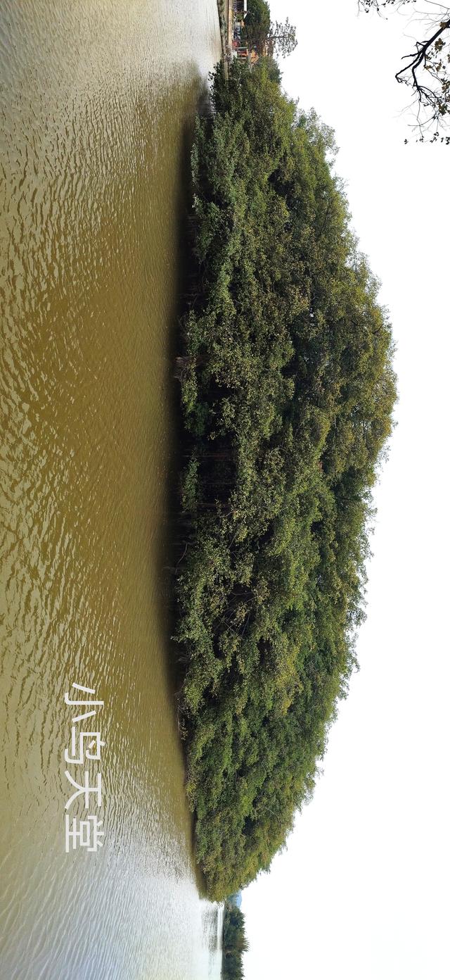 2026温暖广东之旅：漫游珠海、新会、江门