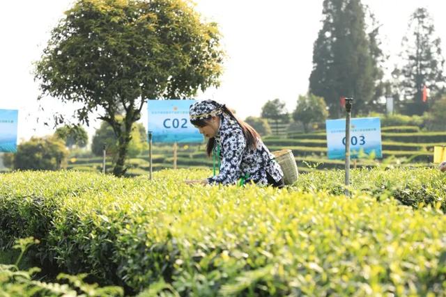 新晋打卡地！珙县这里上榜宜宾必去榜单→