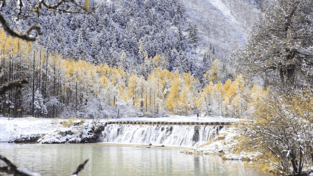 免门票丨毕棚沟献给全国师生们的秋日礼物！