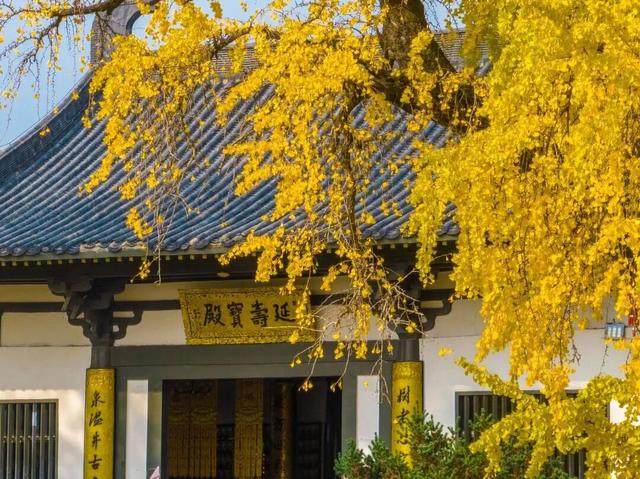 22℃！气温回升！这份温差版江北限定出游指南收好！