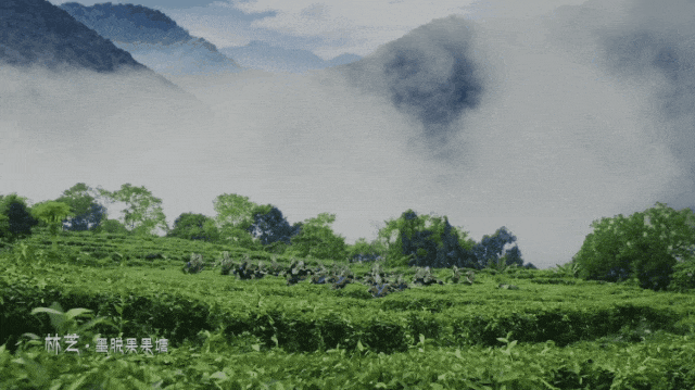 这个中国最后一个通公路的县城！凭什么成为无数人的此生必去？