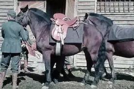 德军在二战时期，配备了数量庞大的战马图片