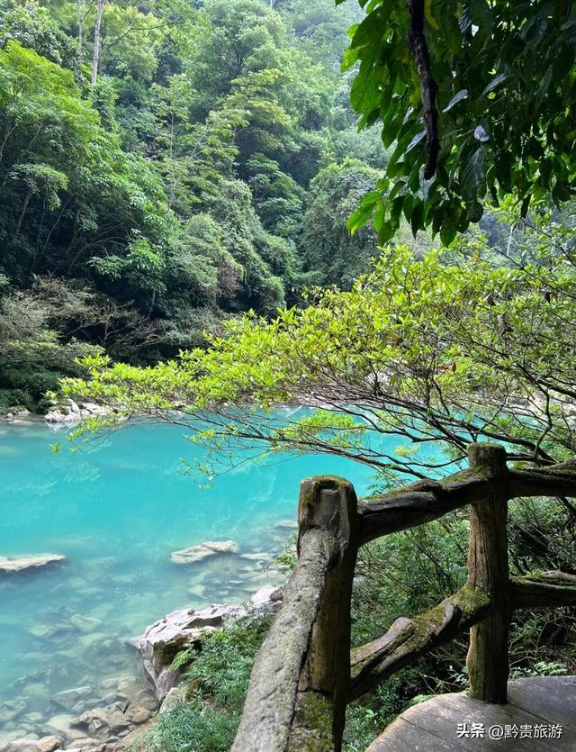 来贵州荔波的游客，真的不应该错过大七孔