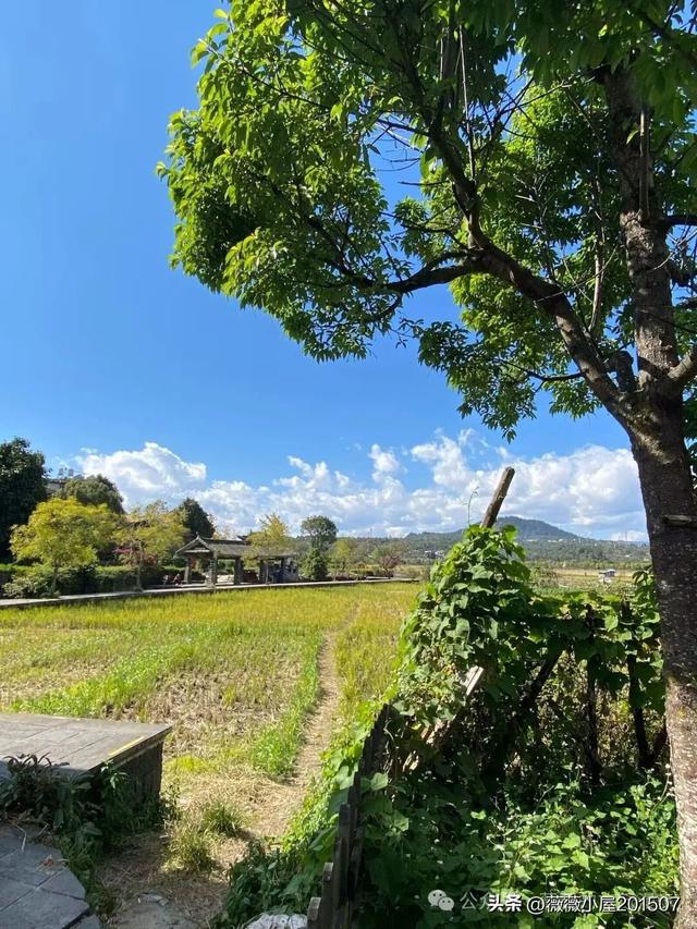 腾冲秘境：火山沉寂，绽放的地质与自然之美