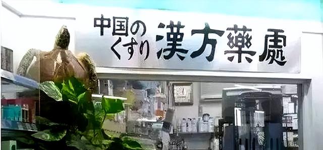 大量日本游客涌入北京，打着旅游幌子不去旅游不吃美食，为啥来？