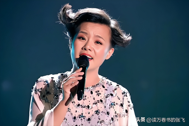 龚琳娜自述离婚内幕：“我们搂着睡了20年，直到他说交了女朋友”