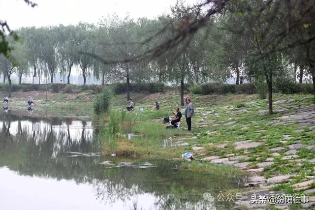 汾阳往事｜山西旅游记录——汾阳文峰塔、南薰楼、老街老建筑(二)